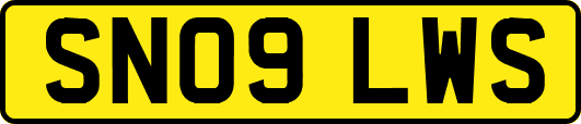 SN09LWS