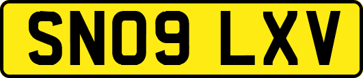 SN09LXV