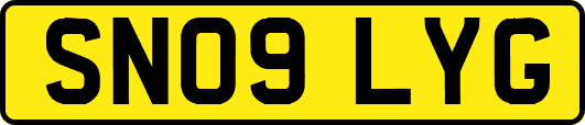 SN09LYG