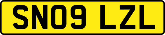 SN09LZL