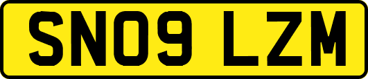 SN09LZM