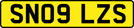 SN09LZS