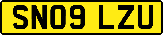 SN09LZU