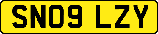 SN09LZY