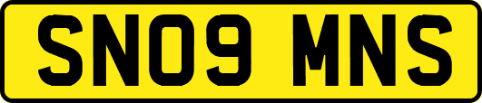 SN09MNS