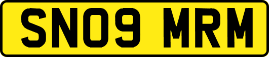 SN09MRM