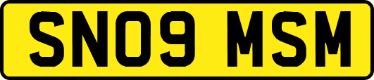 SN09MSM