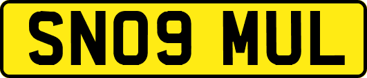 SN09MUL