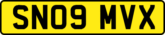 SN09MVX