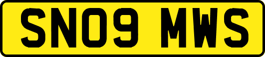 SN09MWS