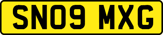SN09MXG