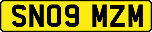 SN09MZM