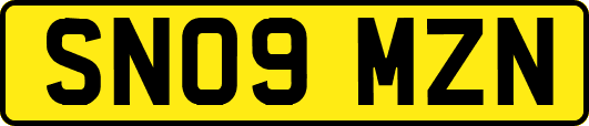 SN09MZN