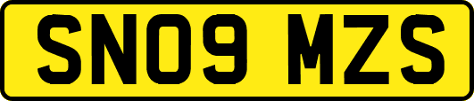 SN09MZS