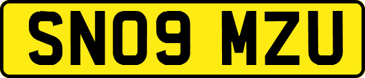 SN09MZU