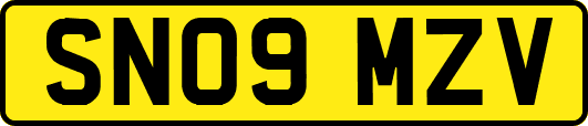 SN09MZV