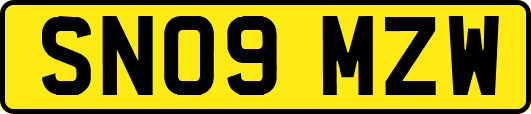 SN09MZW