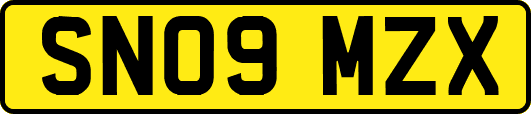 SN09MZX