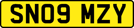 SN09MZY