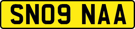 SN09NAA
