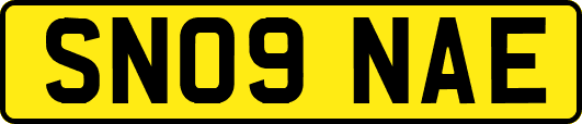 SN09NAE