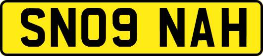 SN09NAH