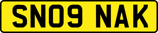 SN09NAK