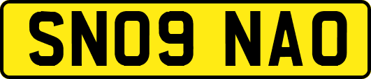 SN09NAO