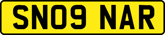 SN09NAR