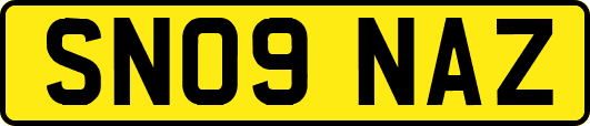 SN09NAZ