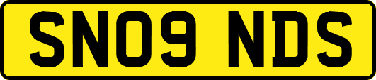 SN09NDS