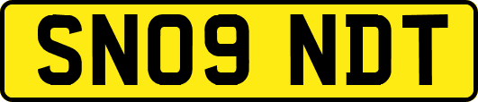 SN09NDT