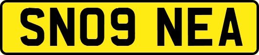 SN09NEA