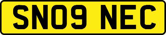 SN09NEC