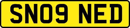 SN09NED
