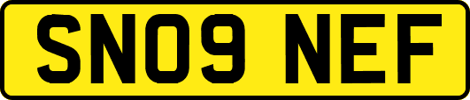 SN09NEF