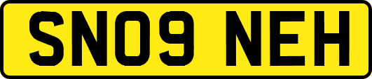 SN09NEH