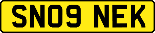 SN09NEK