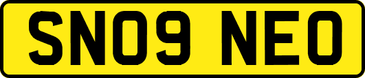 SN09NEO