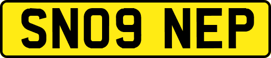 SN09NEP