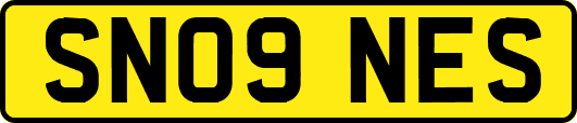 SN09NES