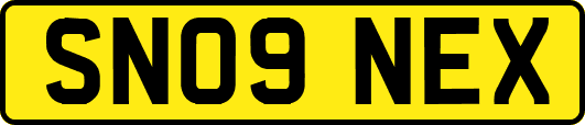SN09NEX