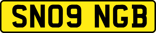 SN09NGB