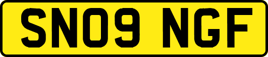 SN09NGF