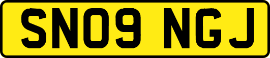 SN09NGJ