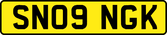 SN09NGK