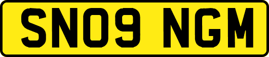 SN09NGM