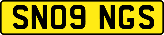 SN09NGS