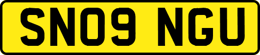 SN09NGU
