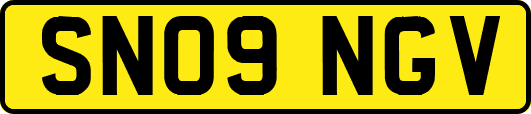SN09NGV